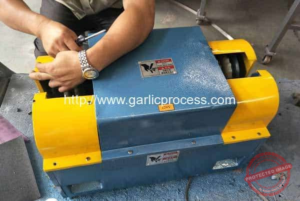 Garlic-Stem-Cutting-Machine-for-Canada